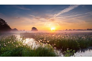 Natural daylight at sunrise in a misty landscape with water and greenery.