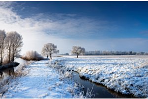 Snow-covered winter landscape with trees.
