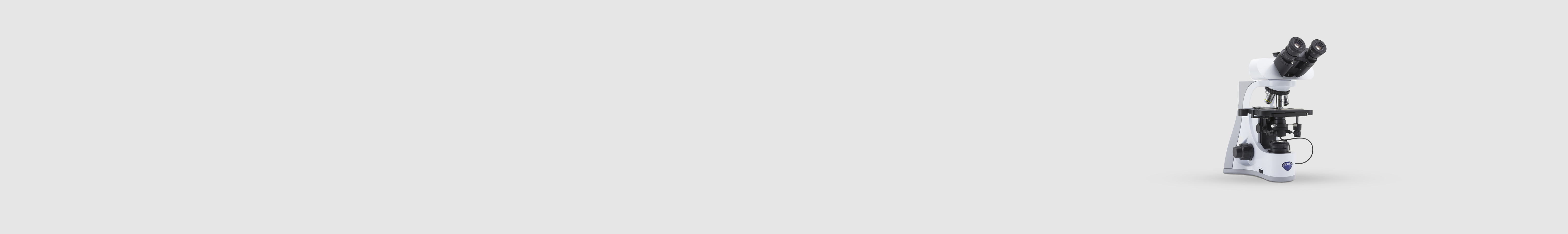 Darkfield Microscopy