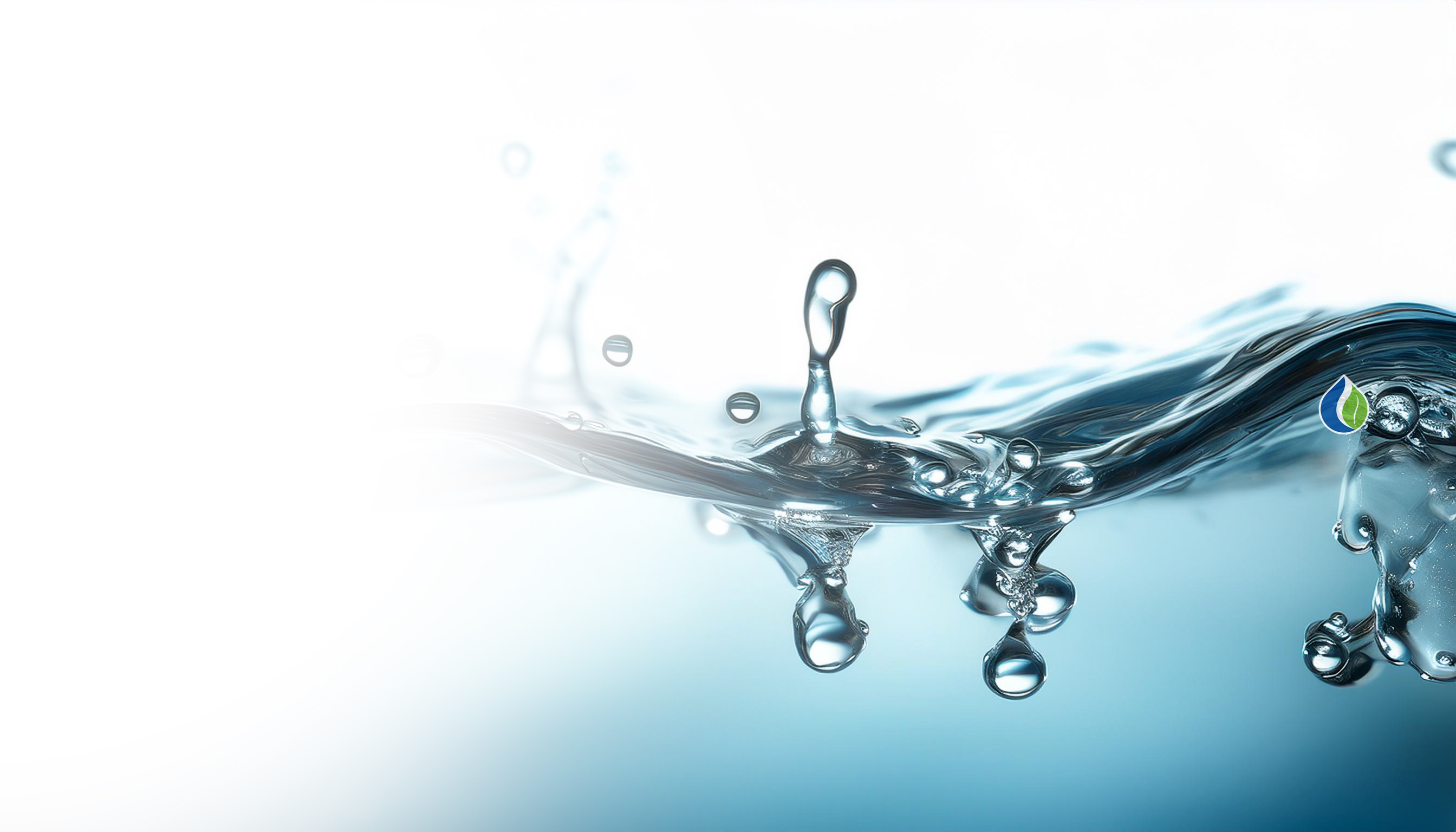 Purifying Water