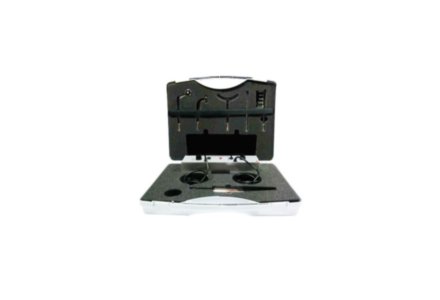 Violet Ray Versailles