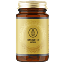 Terracotta Amitabha - Reishi, Chaga & Poria Cocos