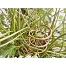 Lakhovsky Plant System Lakhovsky Plant System