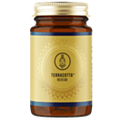 Terracotta Rockstar - Cordyceps & Agaricus Terracotta Rockstar - Cordyceps & Agaricus