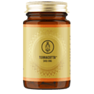 Terracotta Shou Xing - Maitake & Cordyceps Terracotta Shou Xing - Maitake & Cordyceps