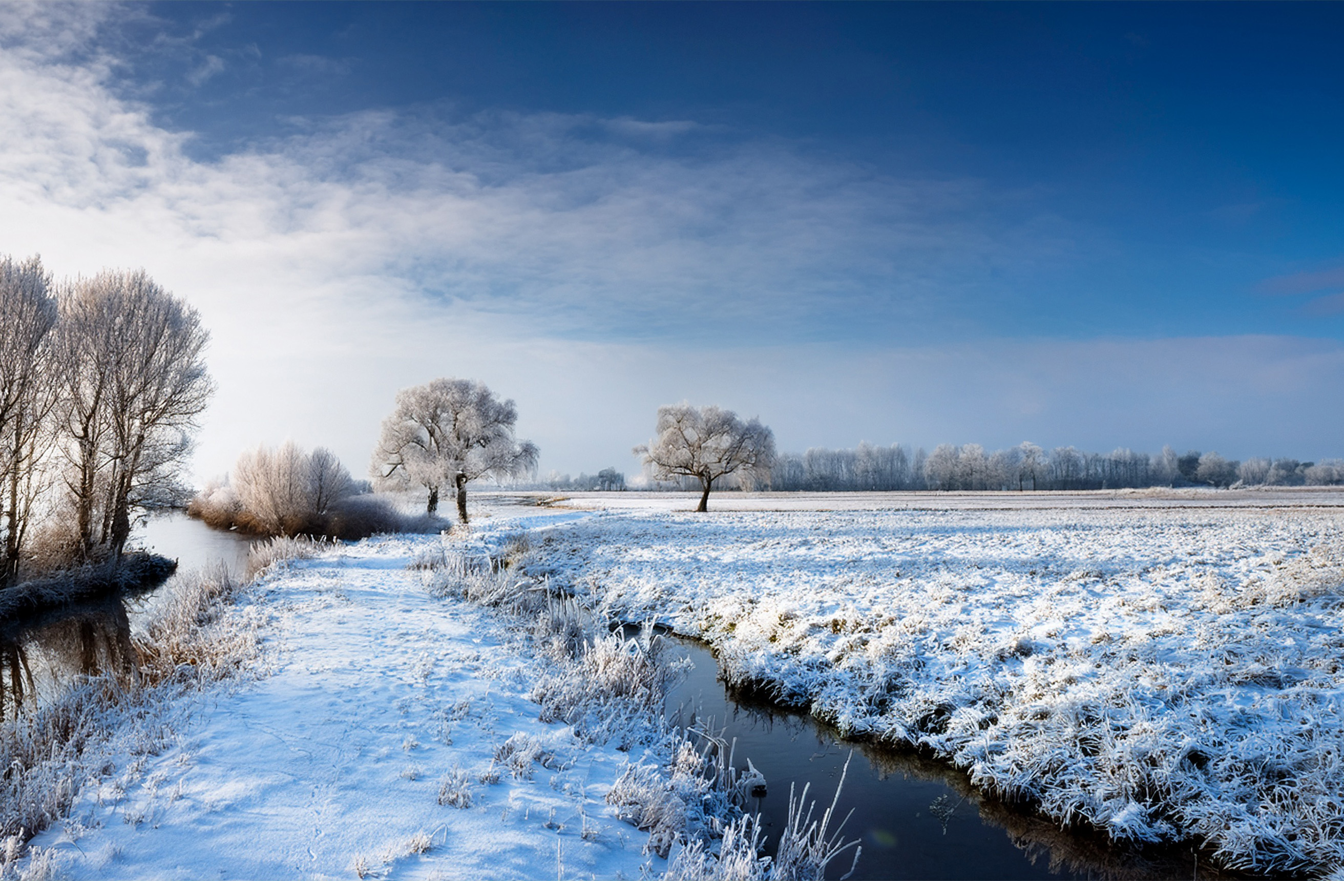 Snow-covered winter landscape with trees.