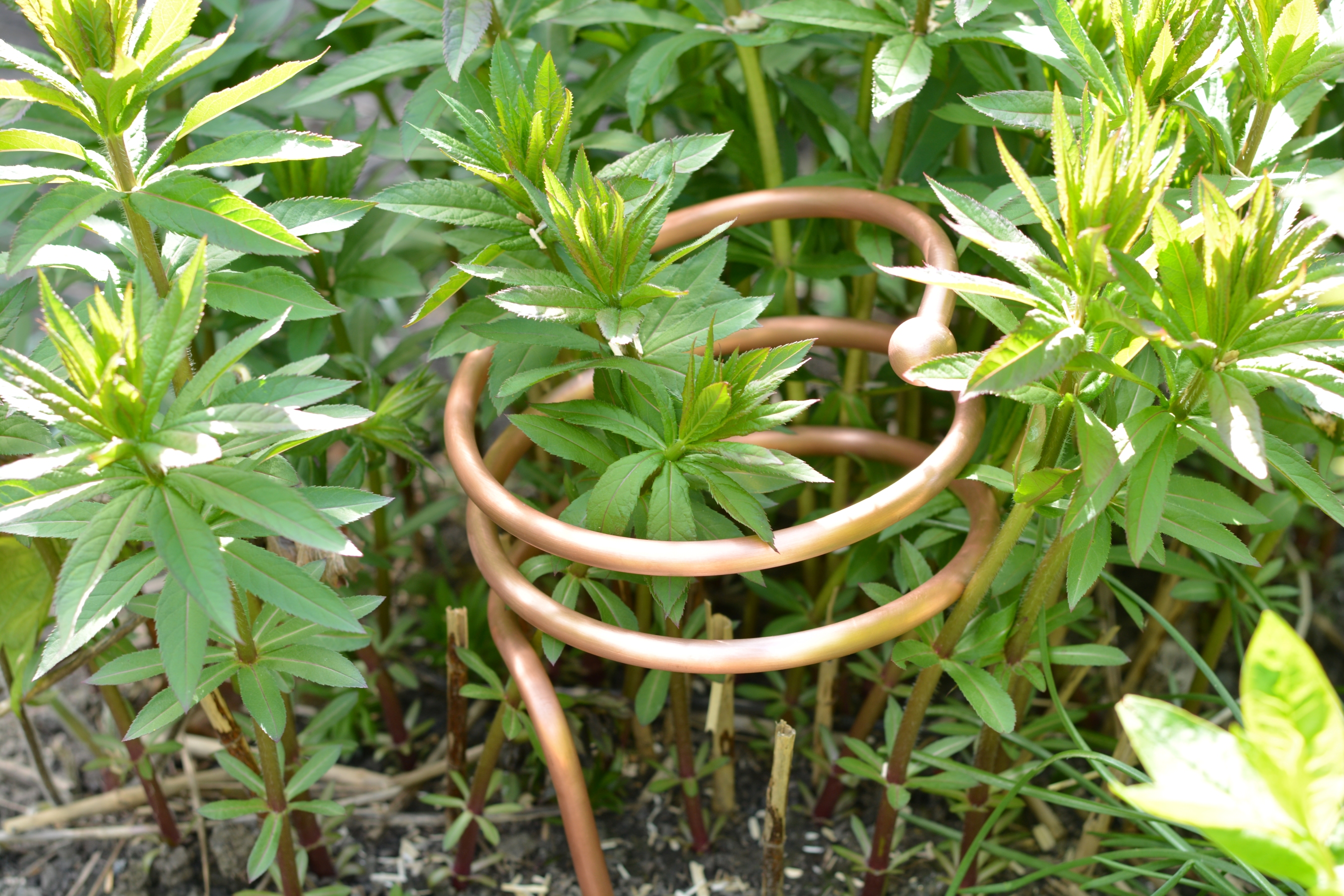 Lakhovsky Plant System by Meditech Europe placed among young plants as an example of an electroculture application in the garden.